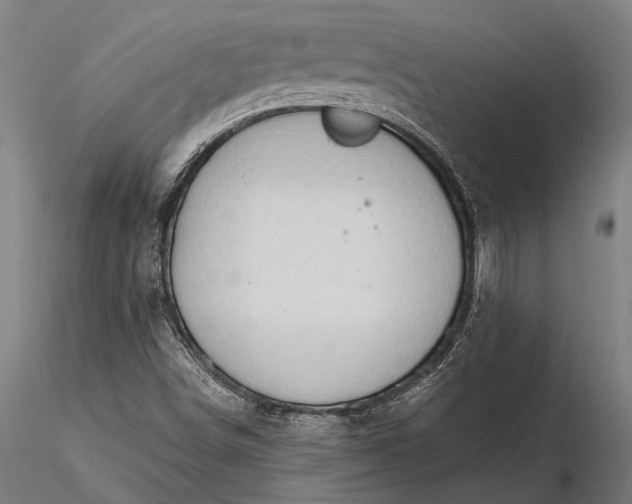 X0000116301498200912141323