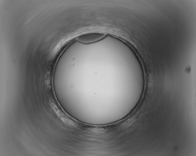 X0000116301499200912141323