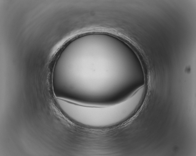 X0000116301502200912141323