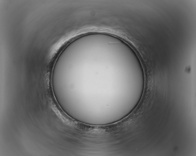 X0000116301503200912141323