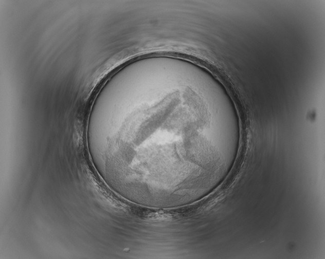 X0000116301505200912141323