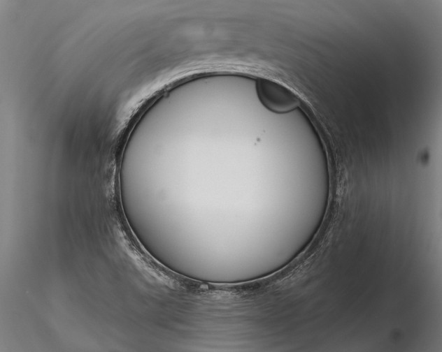 X0000116301507200912141323