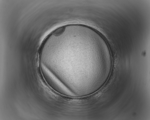 X0000116301510200912141323