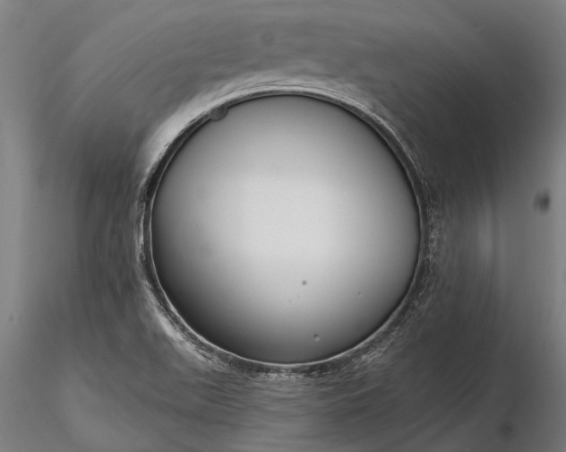 X0000116301511200912141323