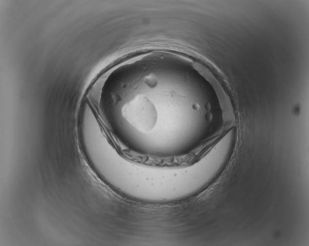 X0000116301514200912141323