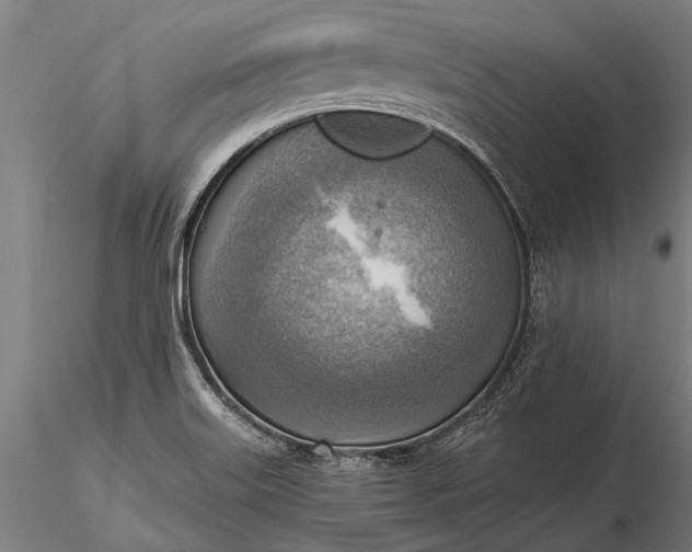 X0000116301515200912141323