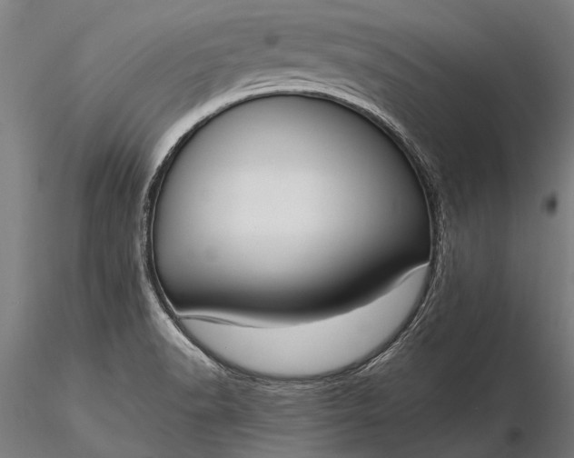 X0000116301518200912141323