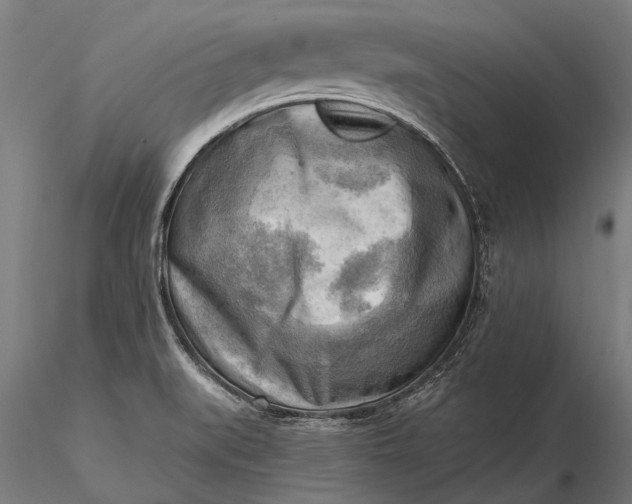 X0000116301519200912141323