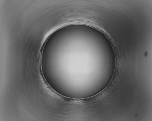 X0000116301522200912141323