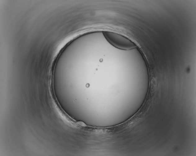 X0000116301523200912141323