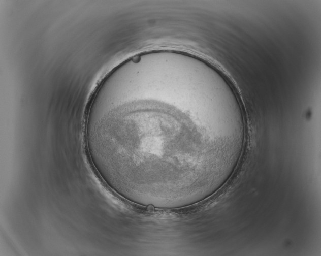 X0000116301525200912141323