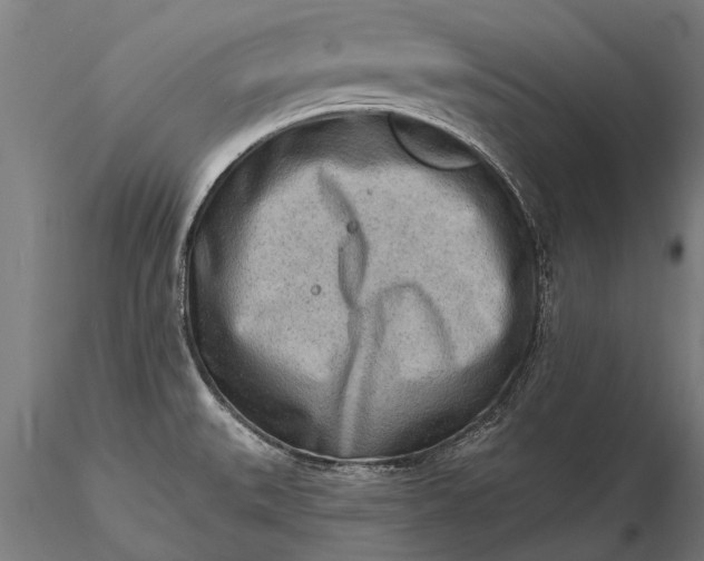 X0000116301527200912141323