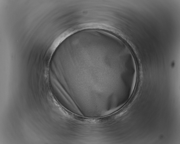 X0000116301529200912141323