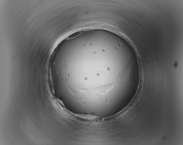 X0000116301530200912141323