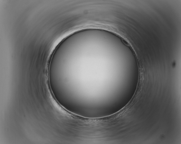 X0000116301531200912141323