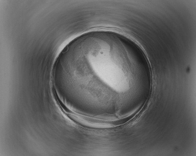 X0000116301533200912141323