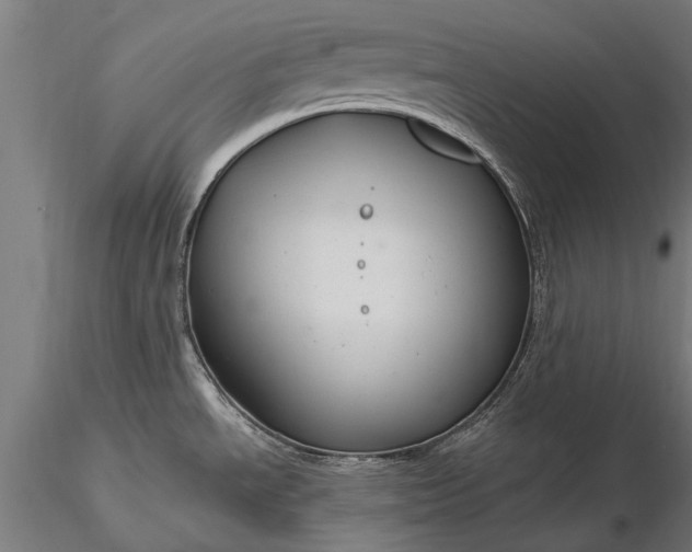 X0000116301534200912141323