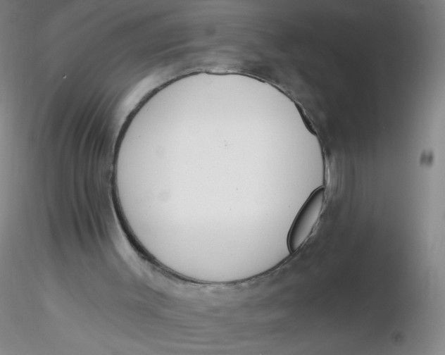 X0000116300003200912211911