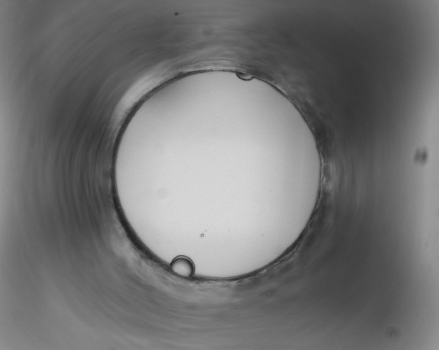 X0000116300004200912211911