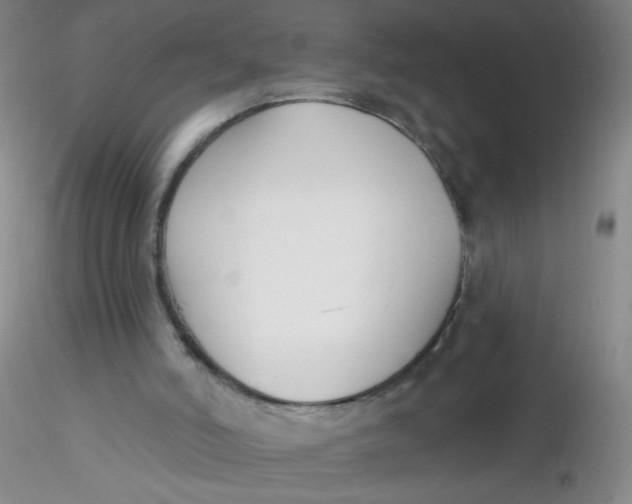 X0000116300006200912211911