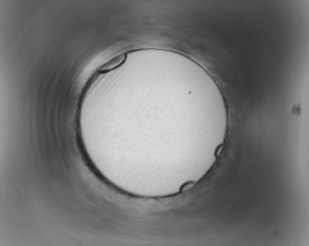 X0000116300007200912211911