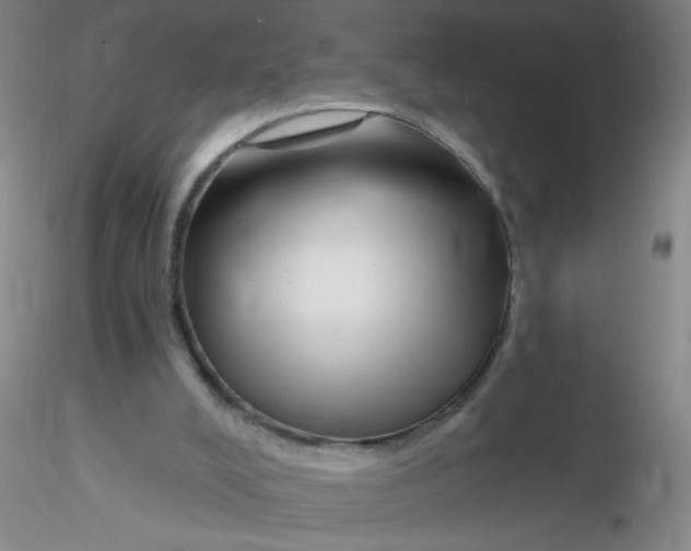 X0000116300008200912211911