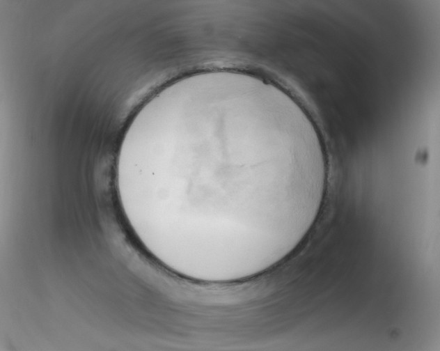 X0000116300010200912211911