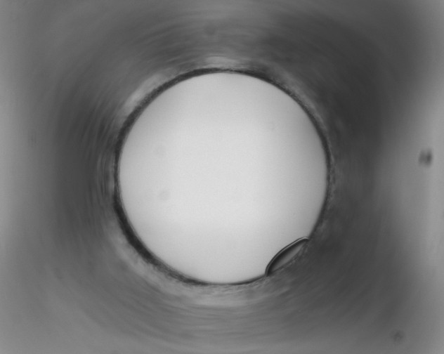 X0000116300011200912211911