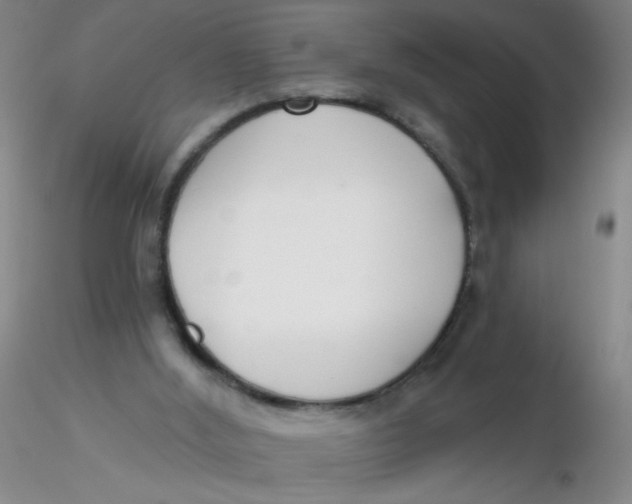 X0000116300012200912211911