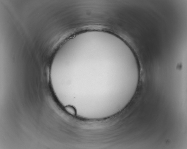 X0000116300013200912211911