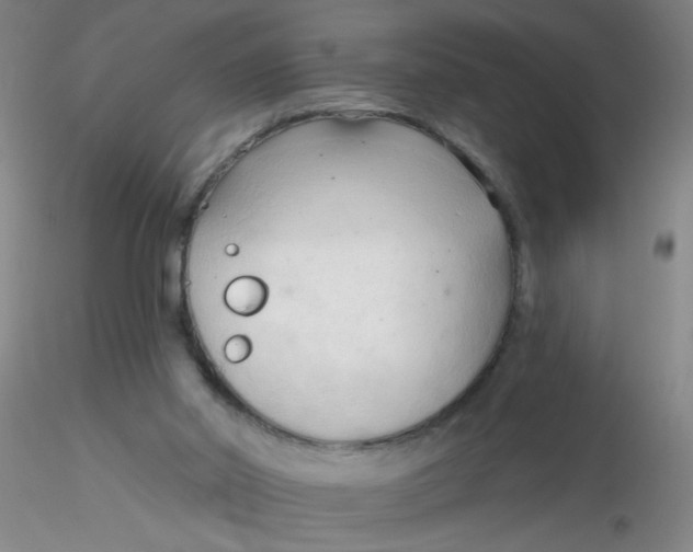 X0000116300014200912211911