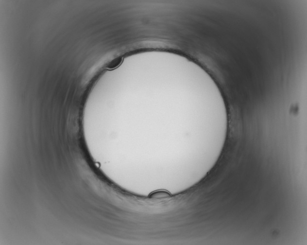 X0000116300015200912211911