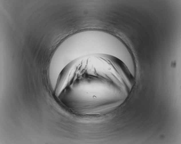 X0000116300017200912211911