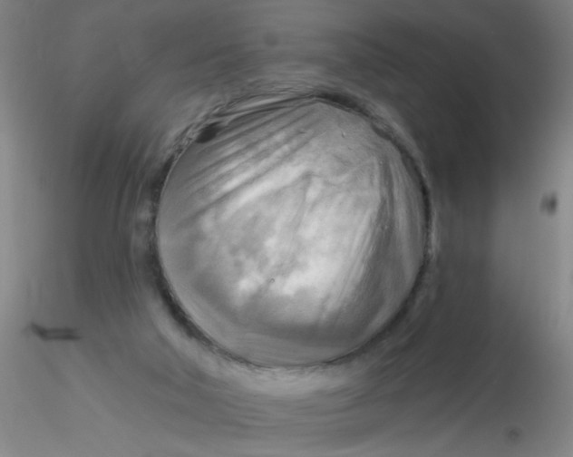 X0000116300018200912211911