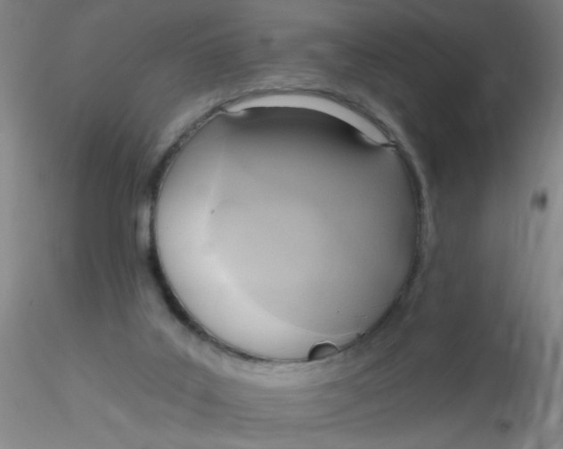 X0000116300019200912211911