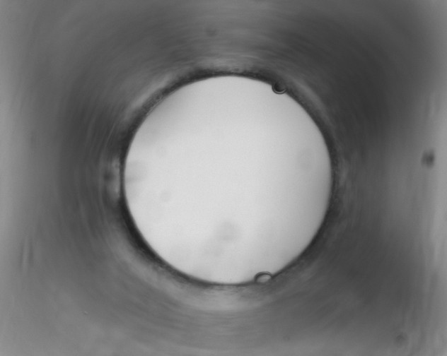 X0000116300020200912211911