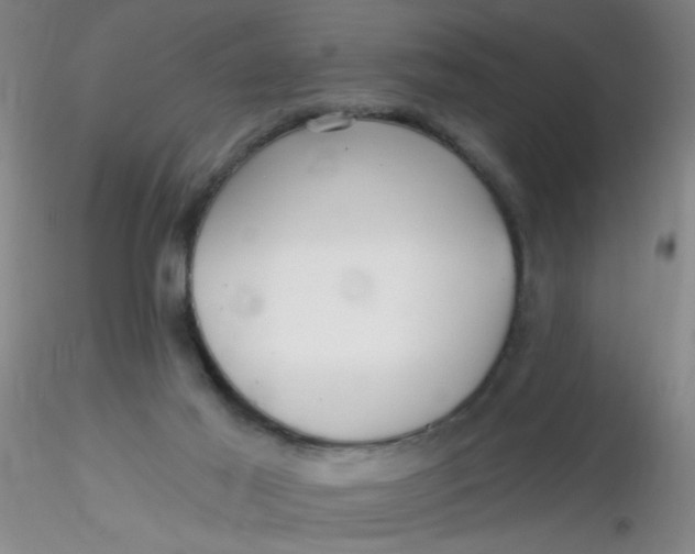 X0000116300021200912211911