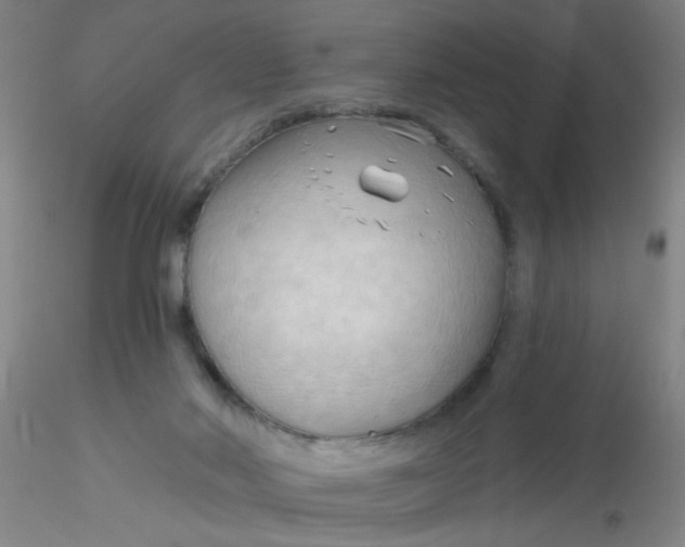 X0000116300022200912211911