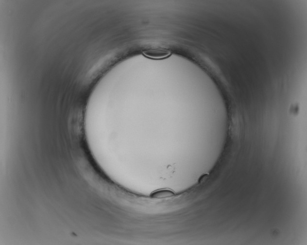 X0000116300023200912211911