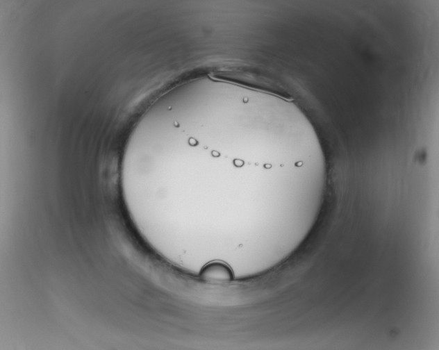 X0000116300024200912211911