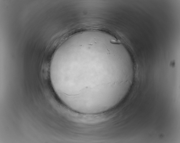 X0000116300026200912211911