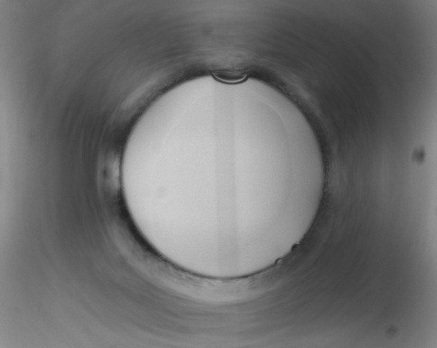 X0000116300027200912211911