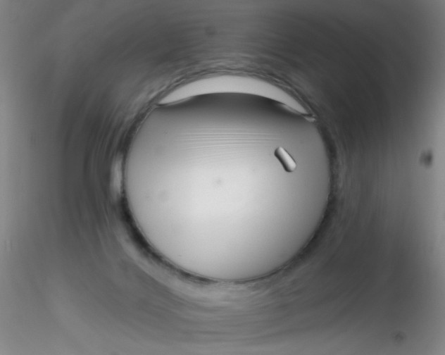 X0000116300028200912211911