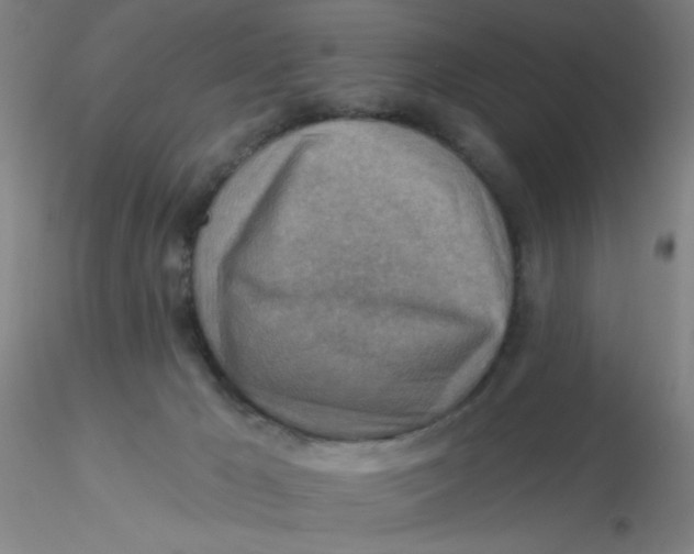 X0000116300029200912211911