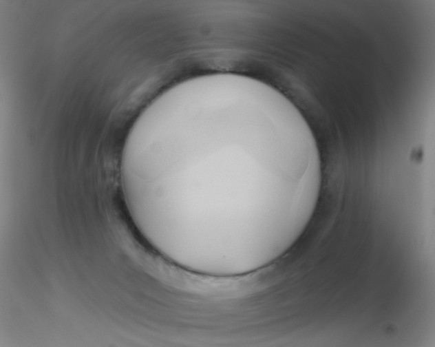 X0000116300031200912211911