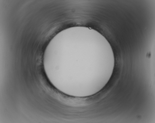 X0000116300032200912211911