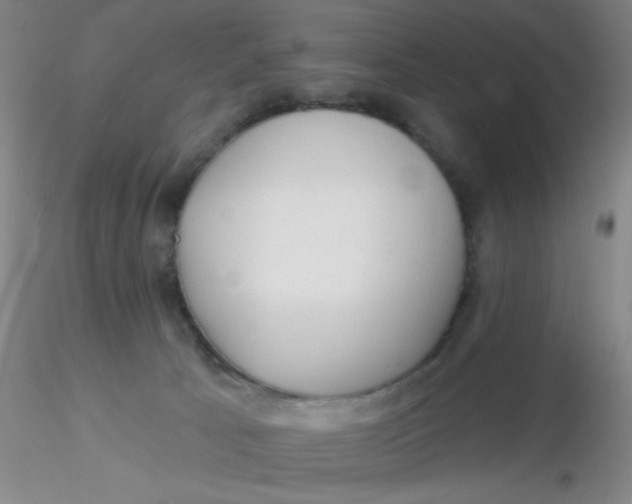 X0000116300033200912211911