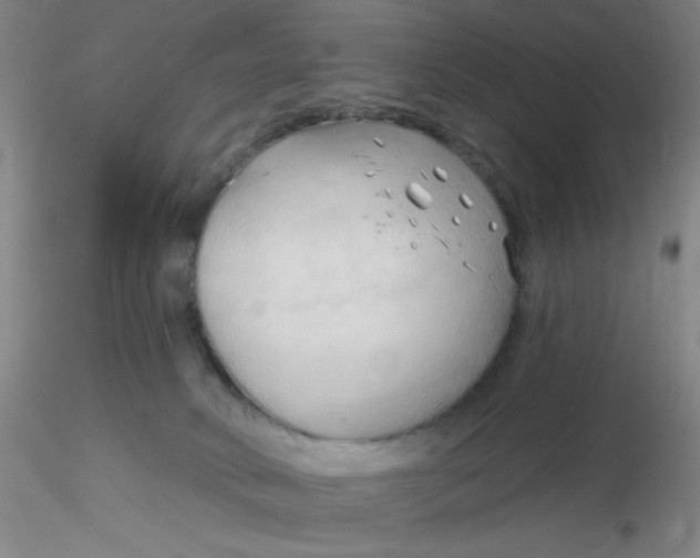 X0000116300034200912211911