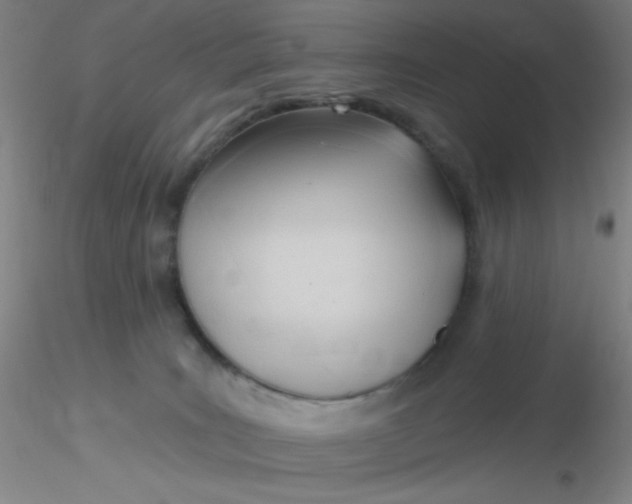 X0000116300035200912211911