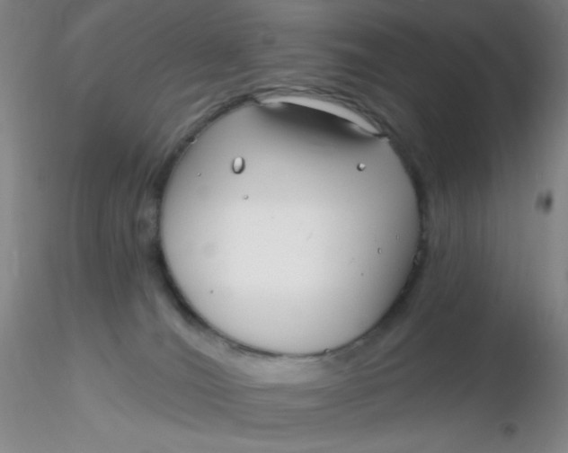 X0000116300036200912211911